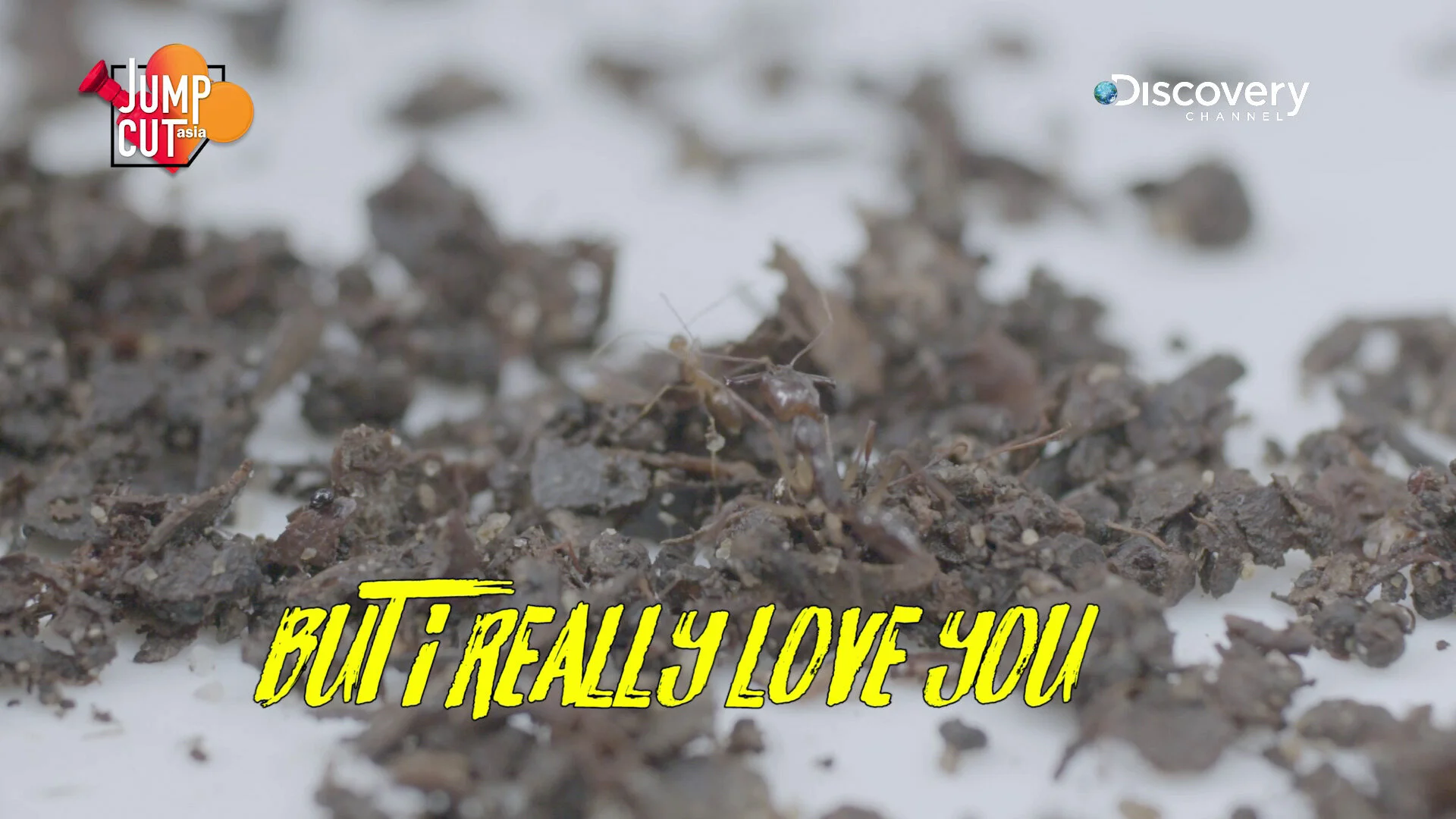 #NoFilter_7_Web Version.jpg