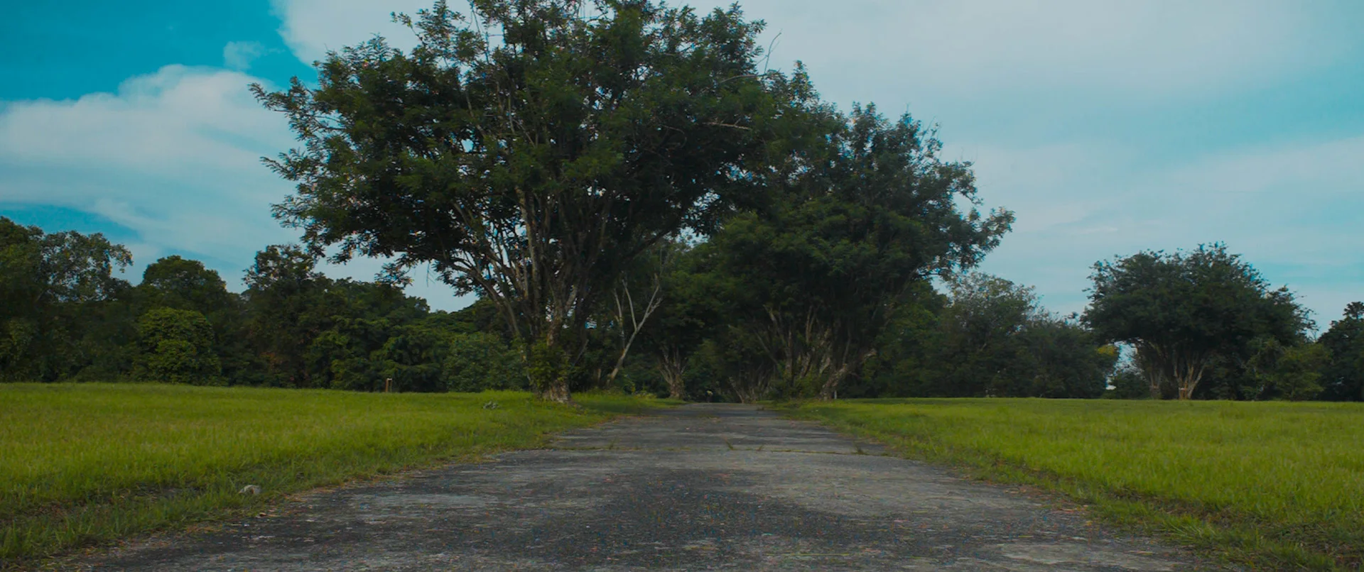 BIDADARI'S FALL (2014)