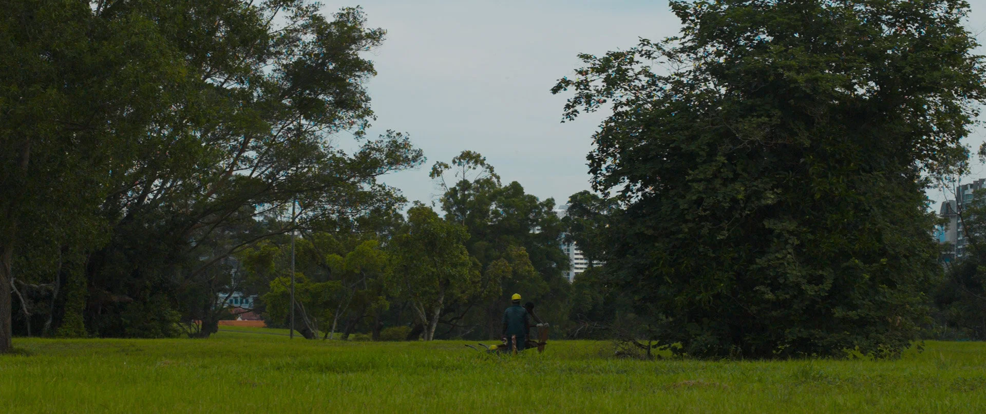 Bidadari-s-Fall---Still_3_web-version_o_Web Version.jpg