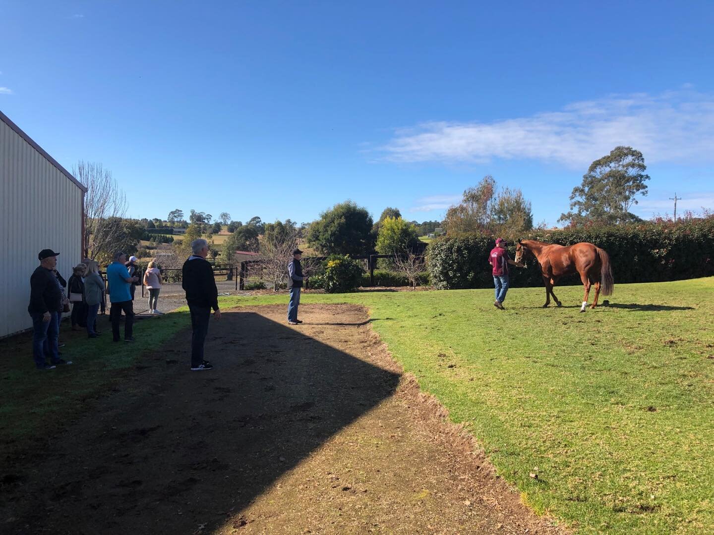 Some of NICCI&rsquo;S GOLD owners farewelling the mare this morning before she heads north to the #magicmillions broodmare sale next week. What a ride for a lot of first time owners. Big thank you to #Gary Portelli and #jazcomfarm for all their help.