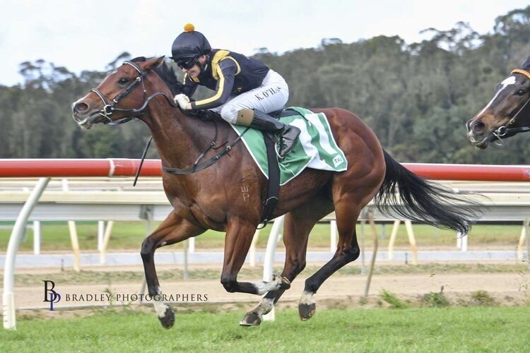 🦊ABSOLUTELY FOXY 🦊 will be going for back to back wins in race 5 at Gosford today. Once again @Kathy_ohara will be riding for @Garyportelli Good luck to all her owners