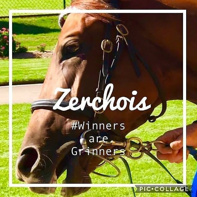 A fantastic win today at Dubbo by ZERCHOIS. Wonderful training effort by Gayna Williams and 🍑 of a ride by Ashleigh Stanley.  Congratulations to all  her owners