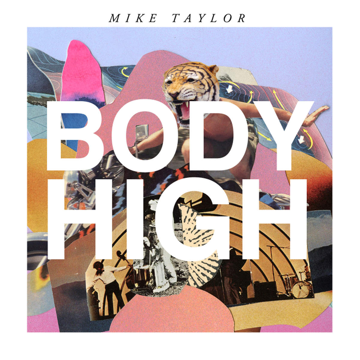 Mike-Taylor-Body-High-2015-1200x1200.png