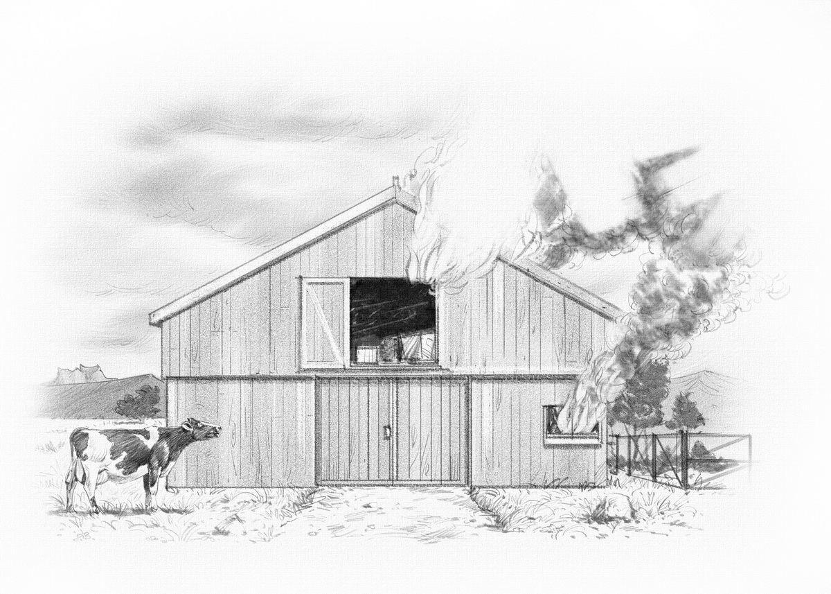 Lowe Bull M&F_4_resize.jpg