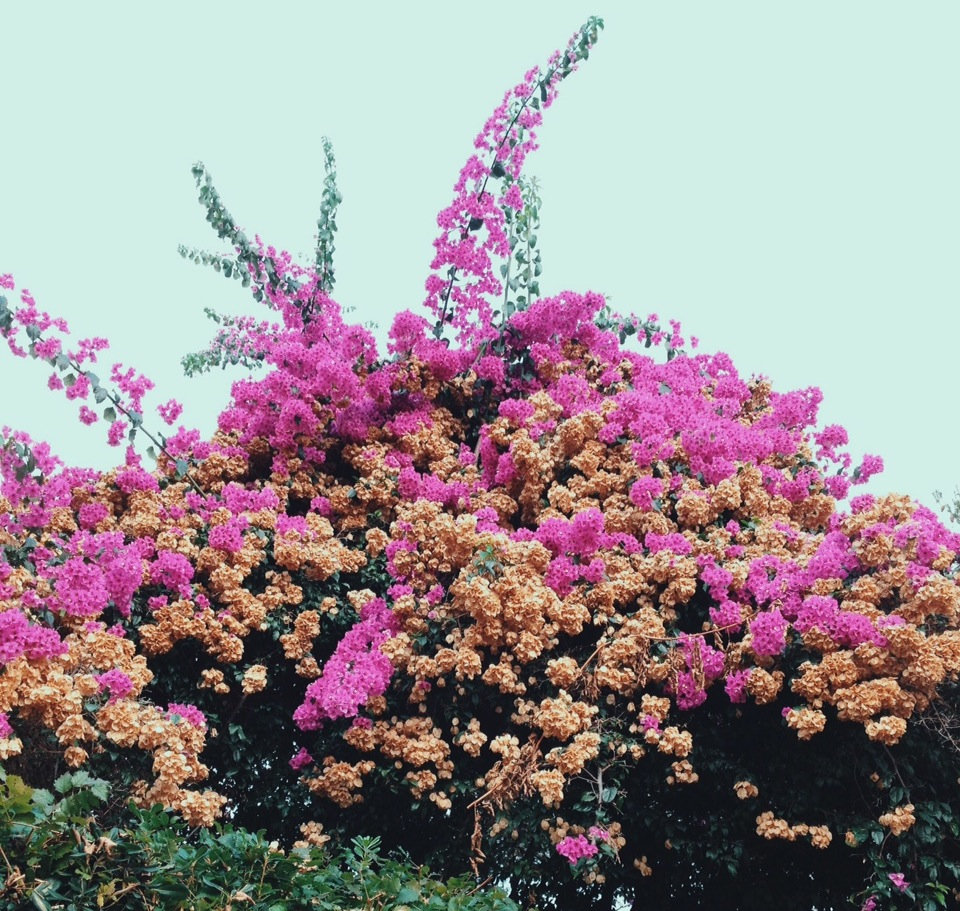 turn into album cover.png