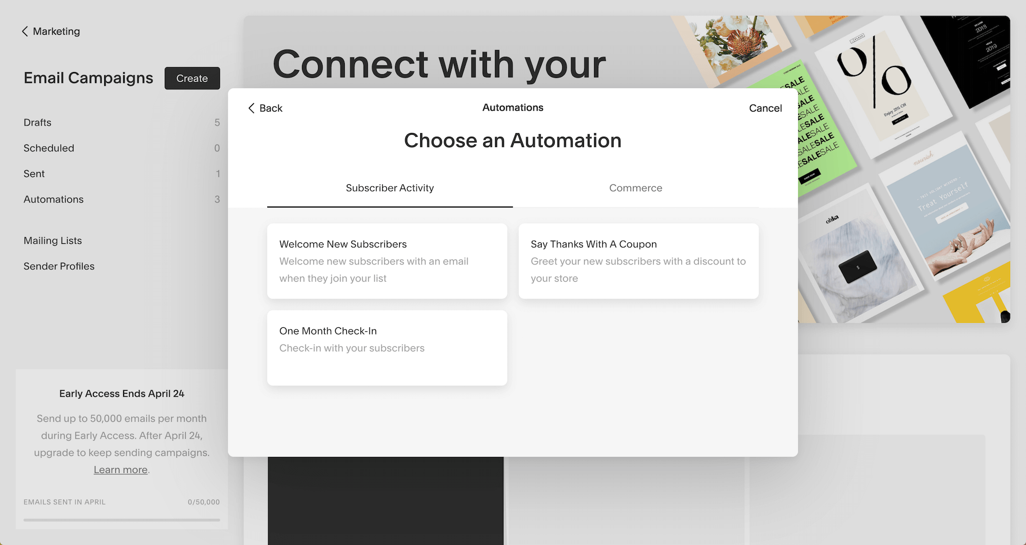 Squarespace Email Campaigns Review — Louise Henry — Tech Expert