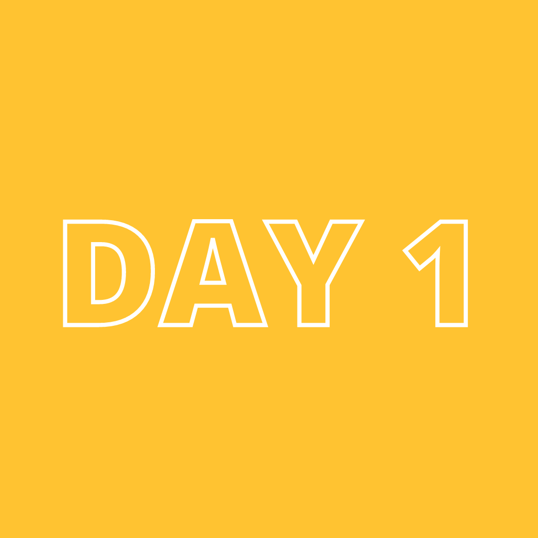 Day 1
