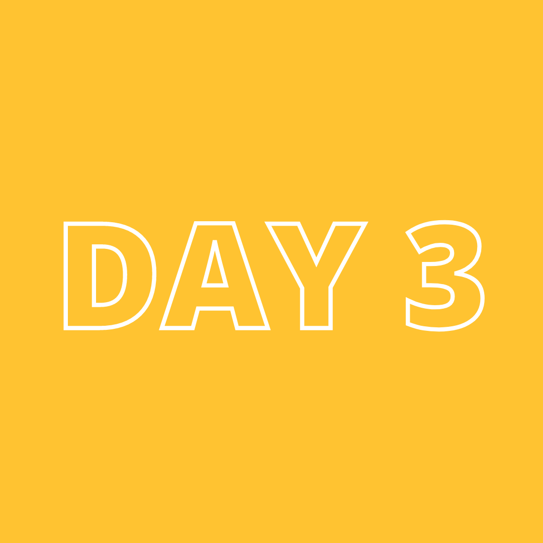 Day 3