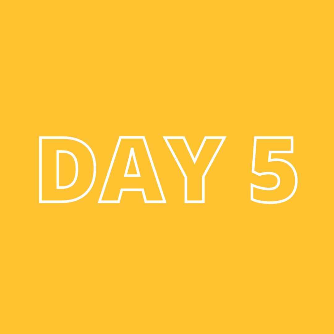 Day 5