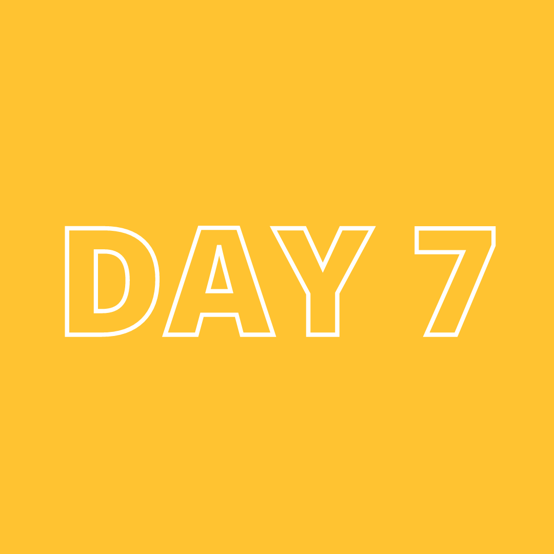 Day 7