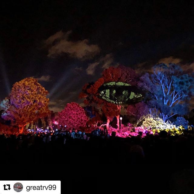 #Repost @greatrv99 with @get_repost
・・・
RobeBmfl in full force at Boorna Waanginy@kingspark#showlite