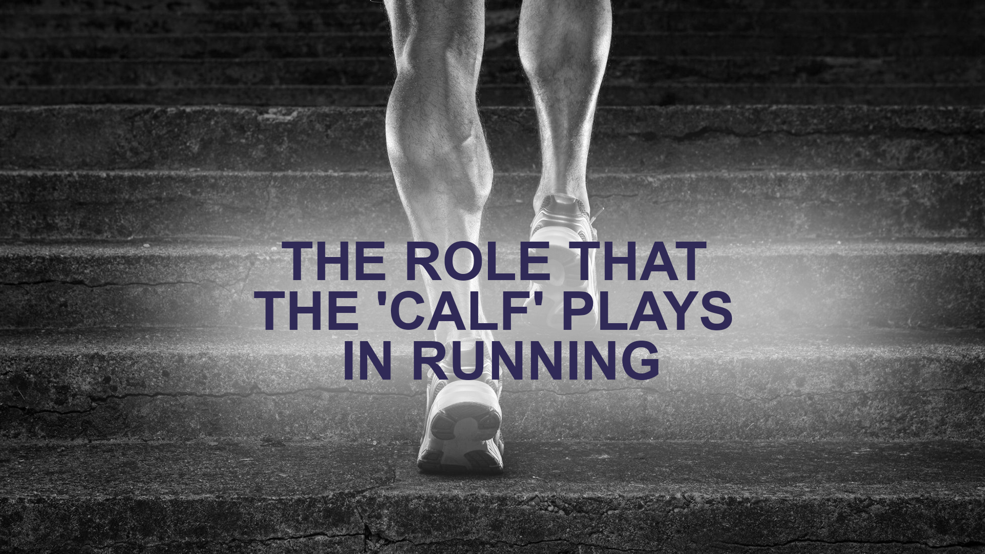 The Role that the 'Calf' Plays in Running