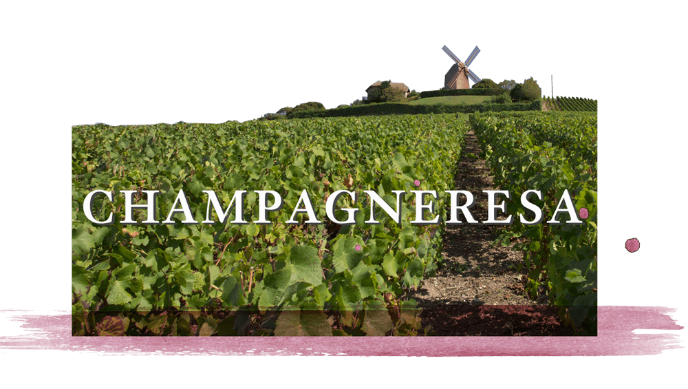 OLDLAND_champagnresa1000.png