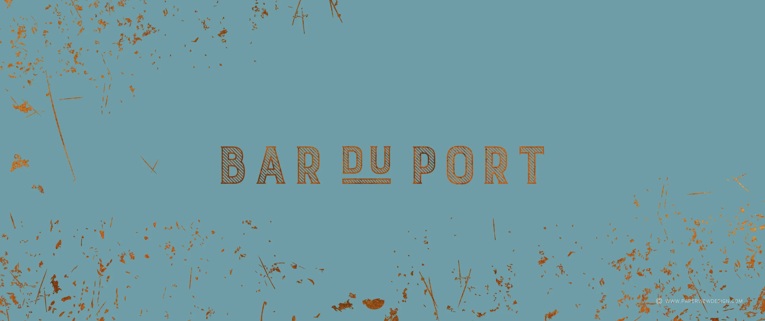 Paperview-website-barduport-Logo-01.jpg