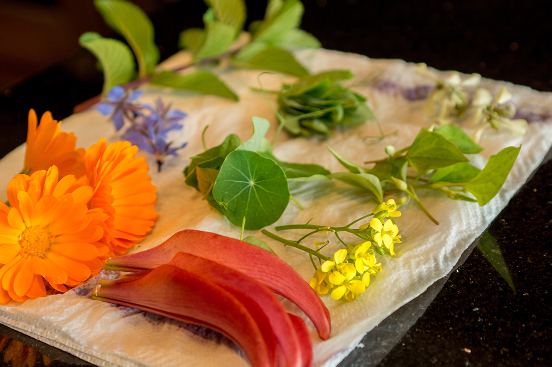 Edible flowers from the garden