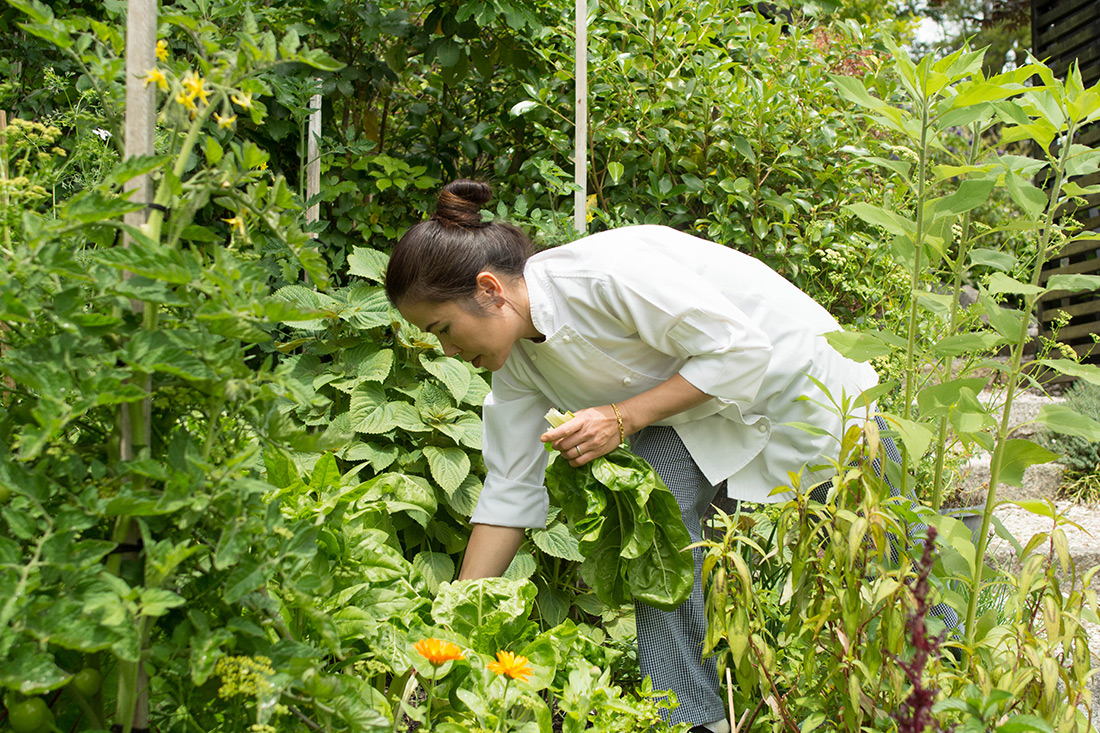 Fresh vegetables from the garden