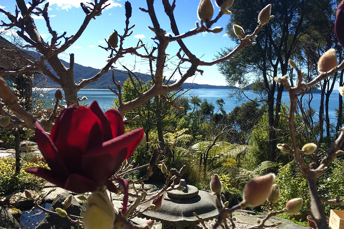 Luxury-Retreat-New-Zealand-Split-Apple-Retreat-Japanese-Style_Garden.jpg