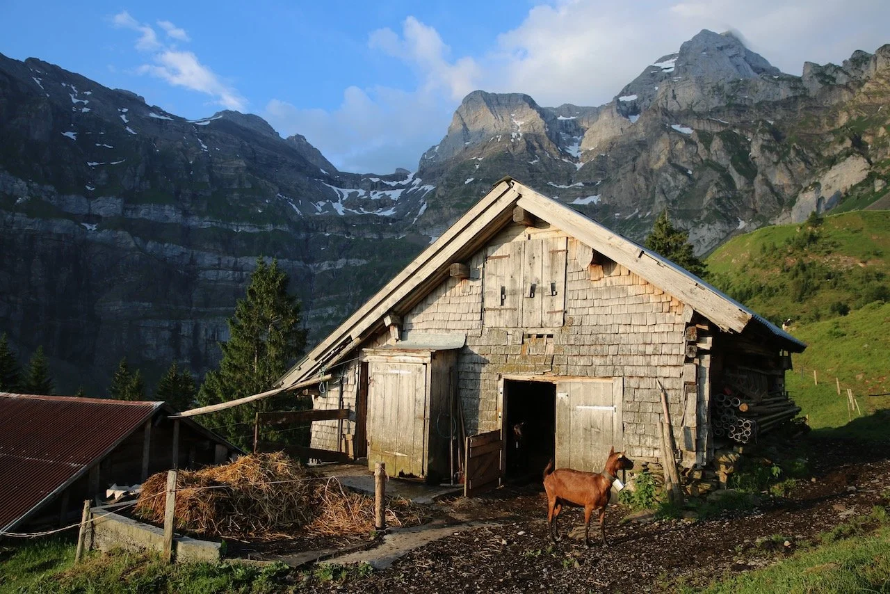 Homepage Stills Squarespace - 5.jpeg