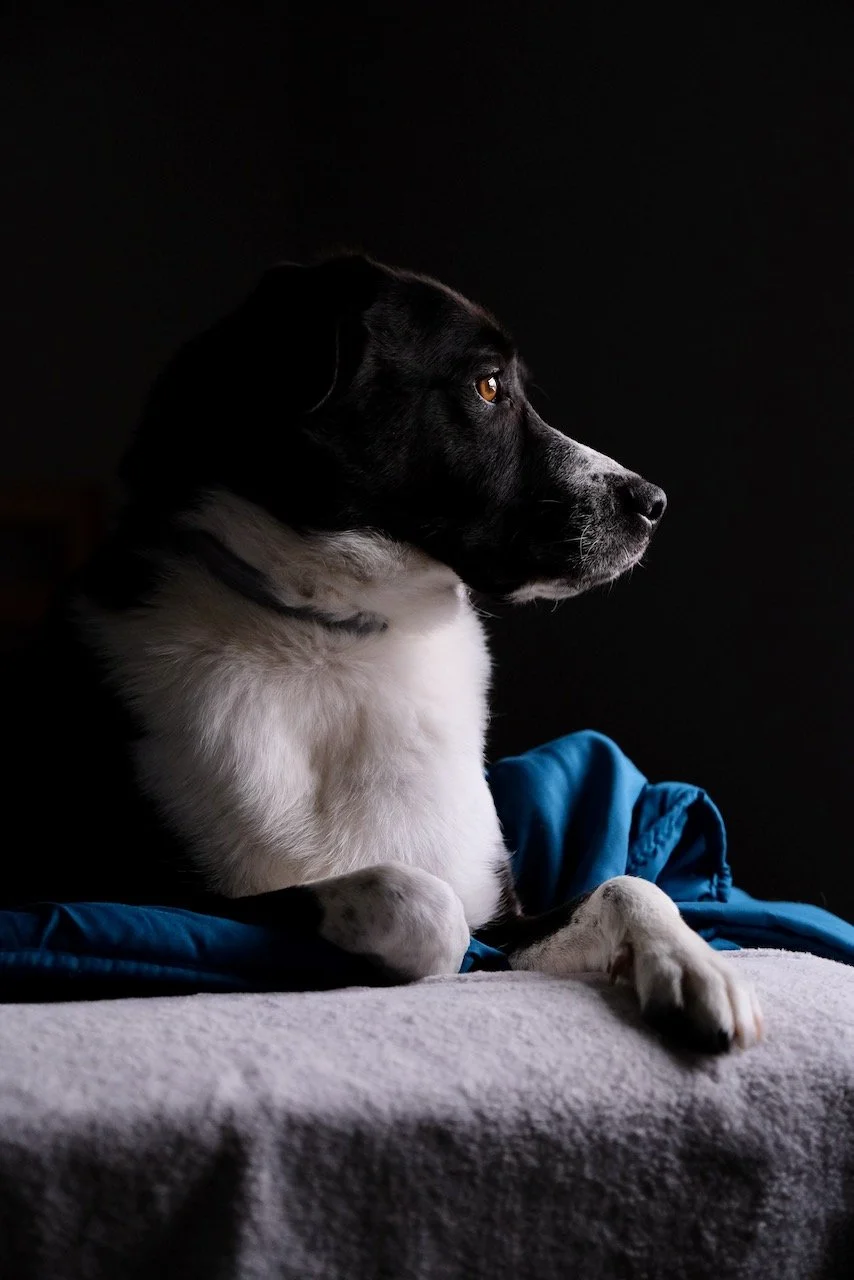 Homepage Stills Squarespace - 14.jpeg