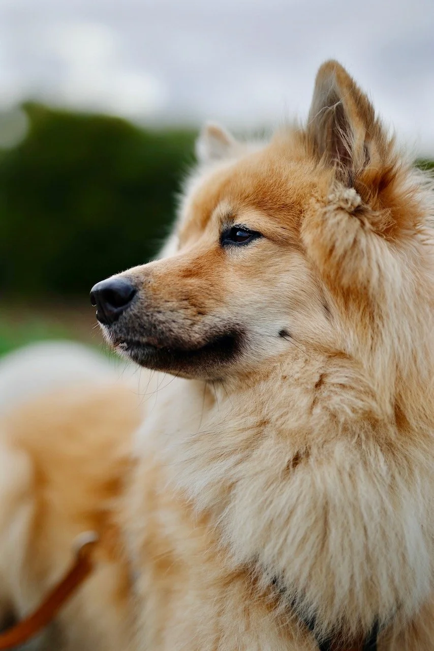 Homepage Stills Squarespace - 21.jpeg