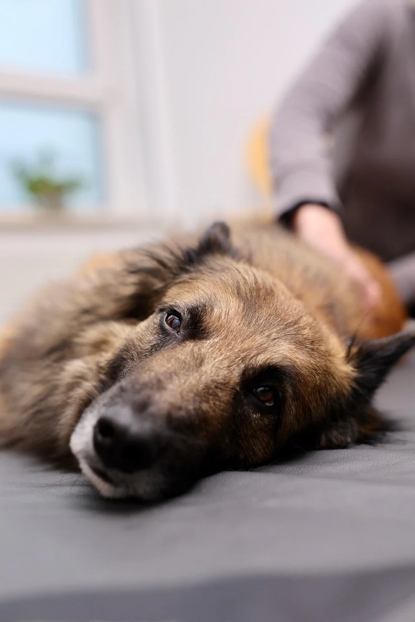 Homepage Stills Squarespace - 27.jpeg