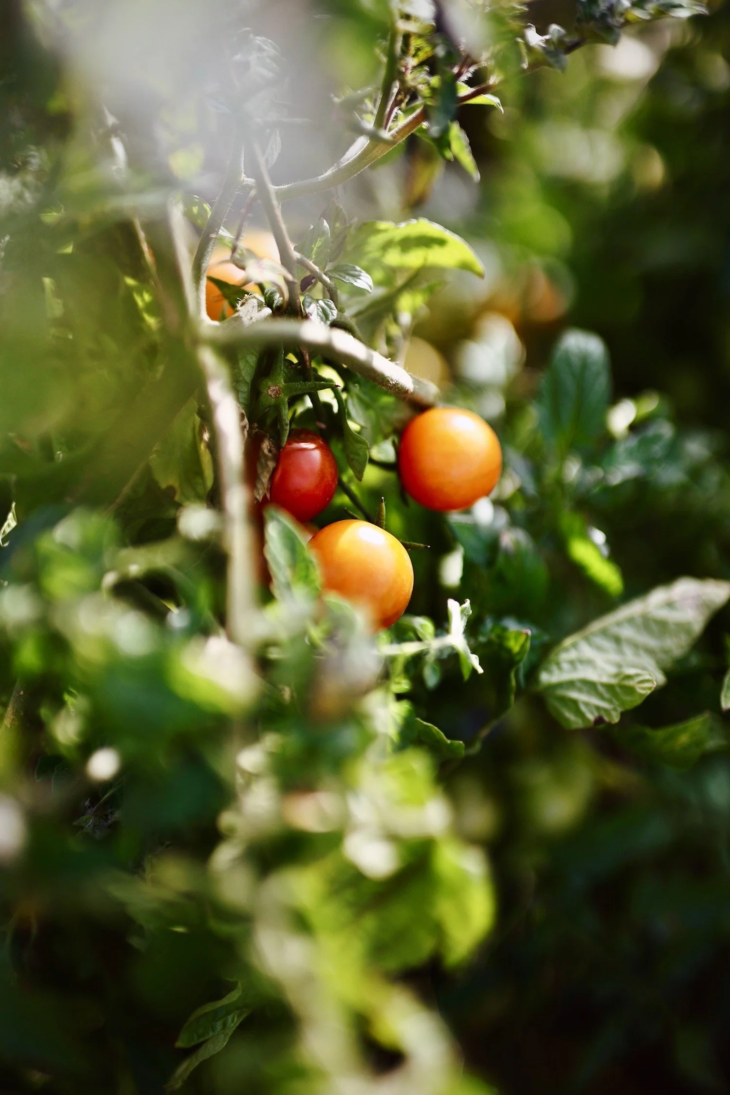 Apparillo - Stills January 2026 - 29.jpeg