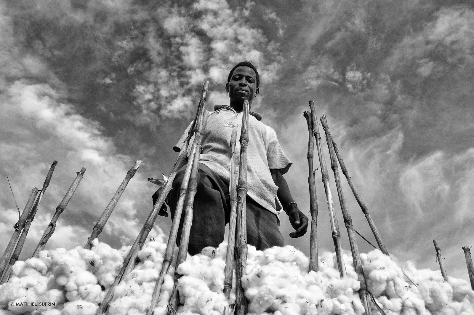 matthieu_suprin_le_cotonnier_burkina_faso_afrique_nb_web.jpg