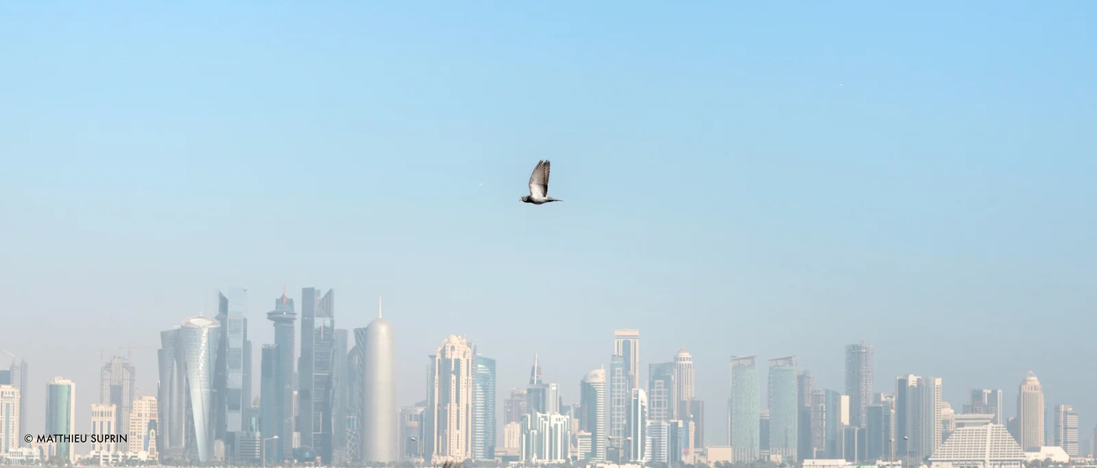 matthieu_suprin_le_vol_paysage_qatar_web.jpg