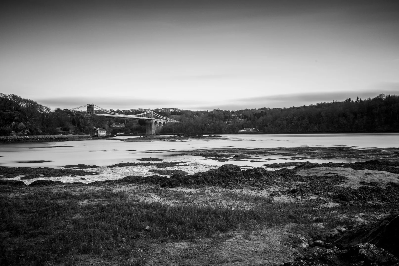 _MG_6830.JPG