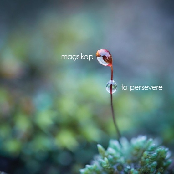 In honor of Mental Health Awareness Month, FINDInk presents our theme for this month: Magsikap (v.) to persevere. We want to emphasize that taking care of yourself mentally, emotionally, in addition to physically, will always be of the utmost importance. Where there is struggle, there is an opportunity for growth. Today, we have over 100+ advocates in the Filipino community that study within professional field of psychology and mental health. Now, we can address them, because we are allowed to Speak Without Shame (#iykyk). In the month of May, think about what your means of healing and self care look like. Then, use that to empower yourself. Persist, no matter what is thrown your way.
Feel free to submit your writing pieces to ink@findinc.org, if you wish to participate and have your work posted on our website!