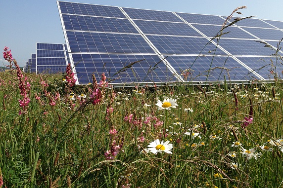 Solar Panels at Westmill Solar Farm.