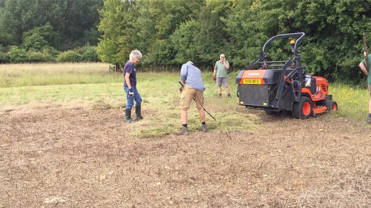 Spreading the green hay cut from the meadow (background) in early August