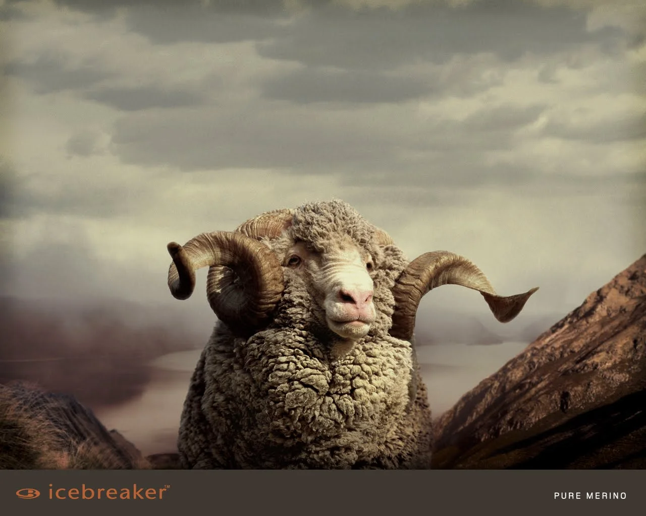 Du confort pour vos enfants !