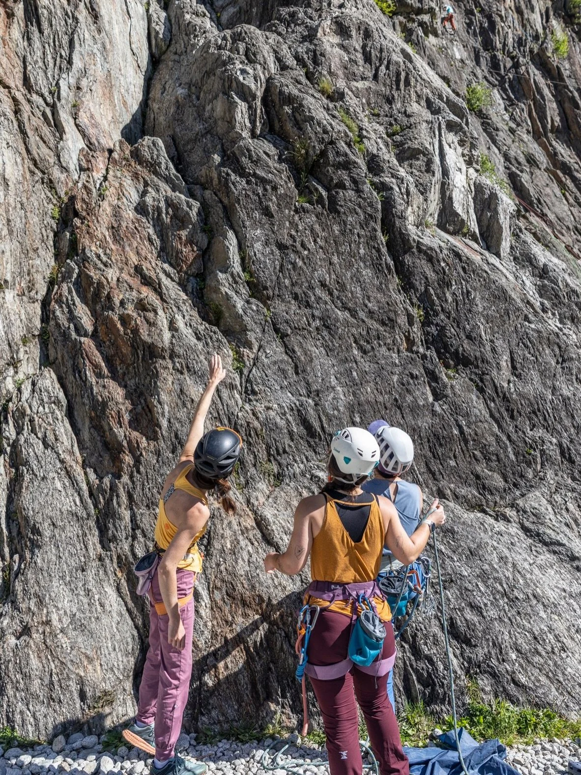 Les filles est-ce que sous ce beau temps magnifique, on irait en stage d&rsquo;escalade ? Avec @vitaclimb, Alice, une ancienne de Snell Sports, propose plusieurs stages de grimpe sur l&rsquo;&eacute;t&eacute; 🧗&zwj;♂️ ☀️ 
Allez prendre toutes les in