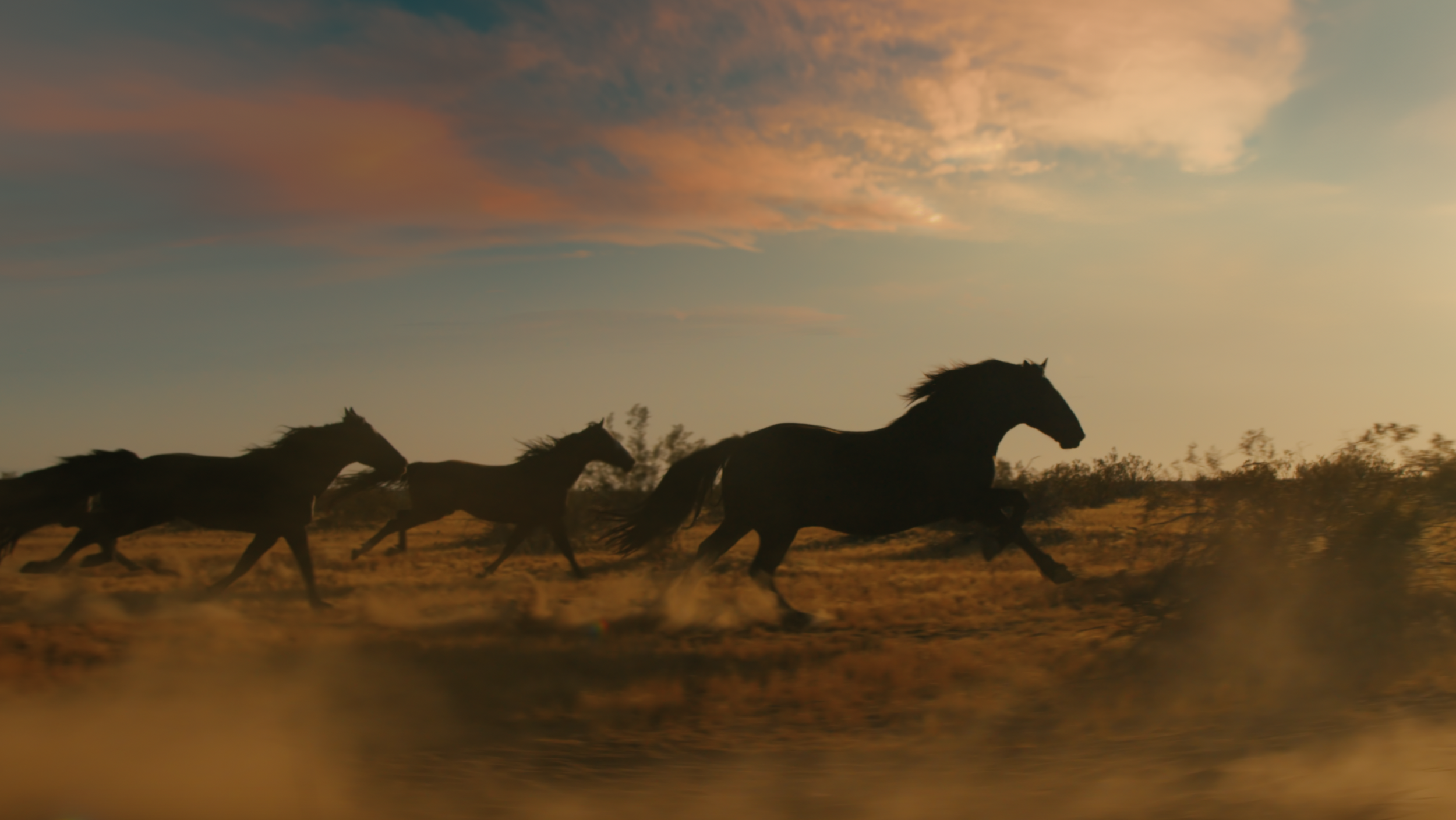 Screenshot 2024-11-21 at 14.40.33.png