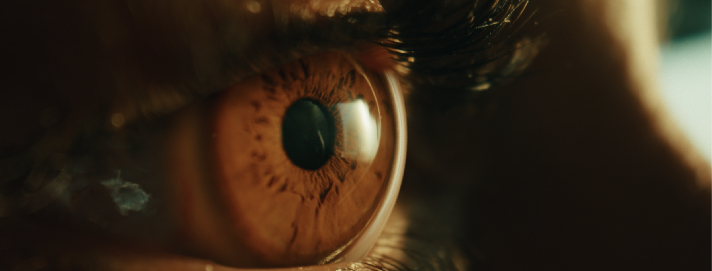 Screenshot 2026-01-05 at 22.04.16.png