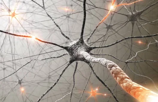 neurological-rehab.jpg