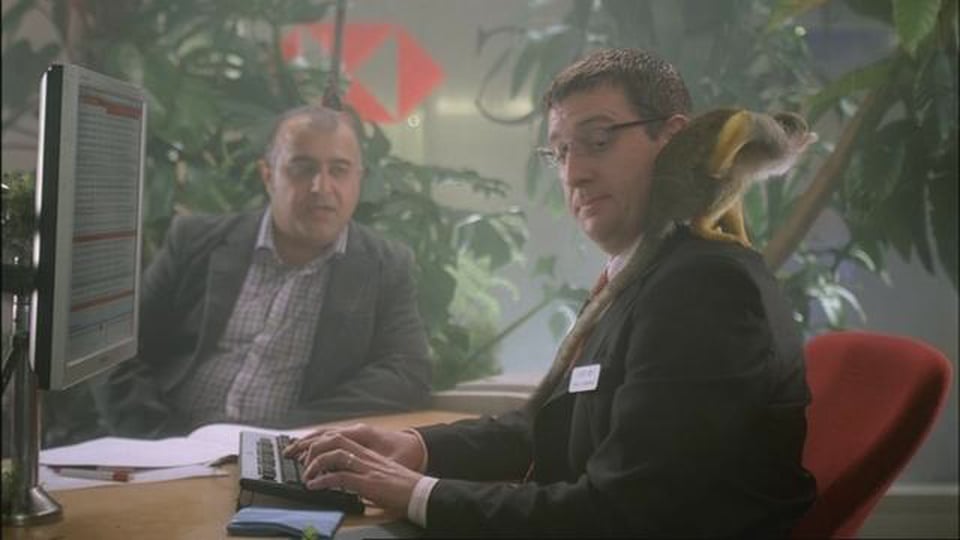 HSBC: Rainforest