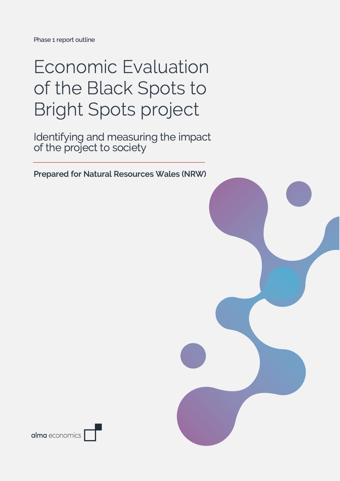 cover b- Economic Appraisal of the Black Spots to Bright Spots Project copy.png