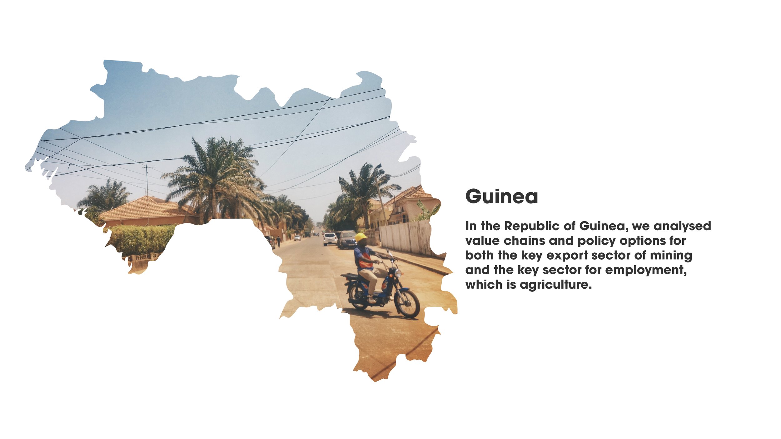 Guinea.jpg