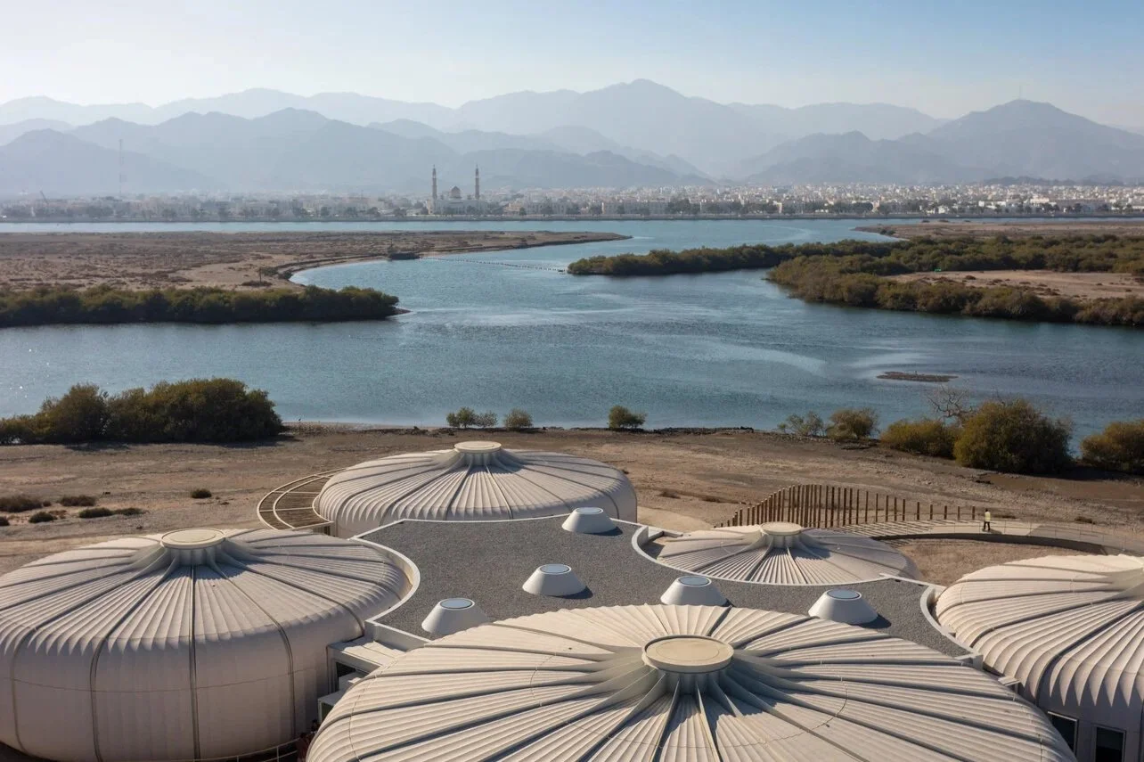 HopkinsArchitects_Khor_Kalba_Exterior_3_%C2%A9_Mark_Goodwin.jpg