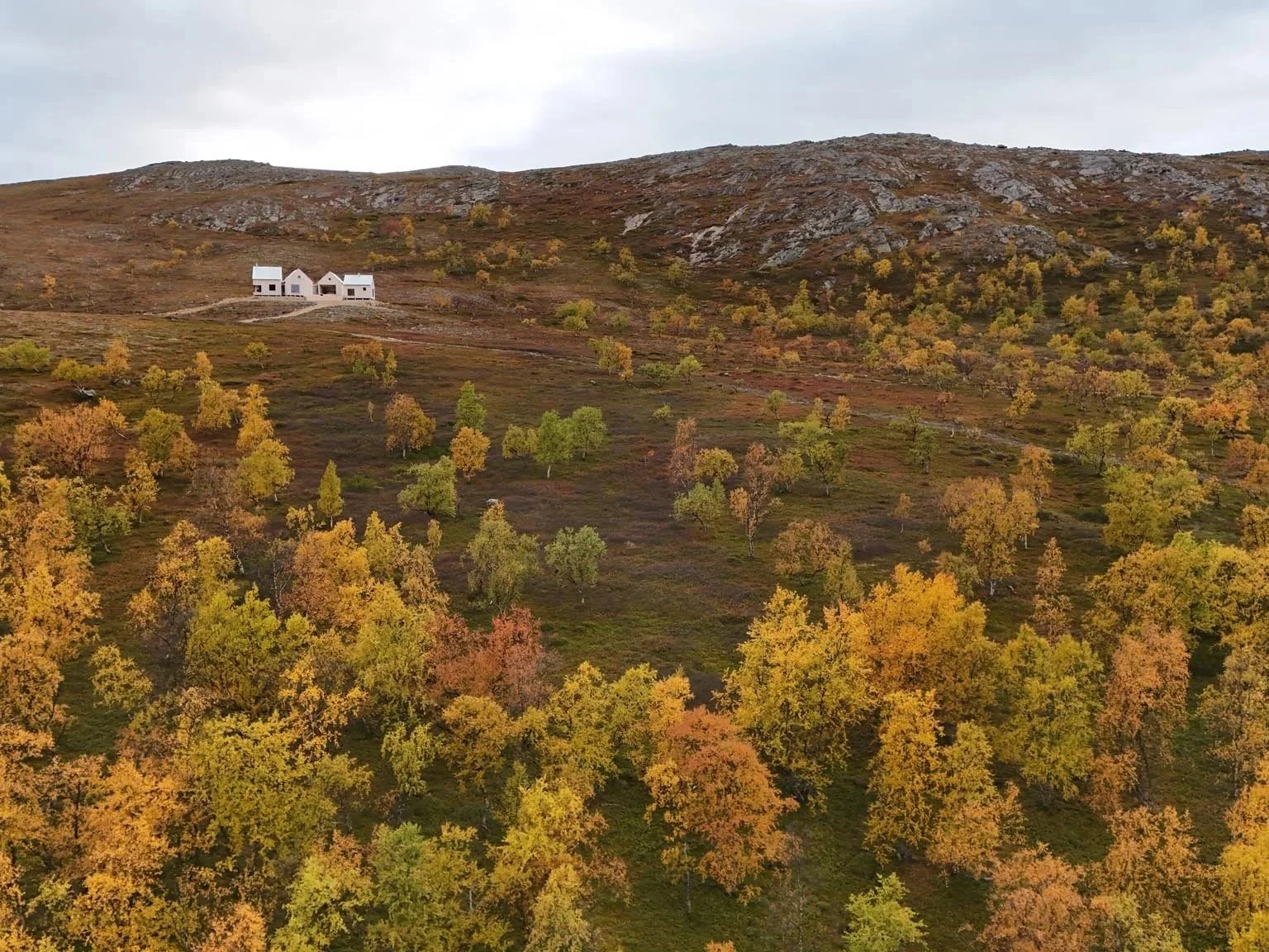 4+cabin+drone0194.jpg