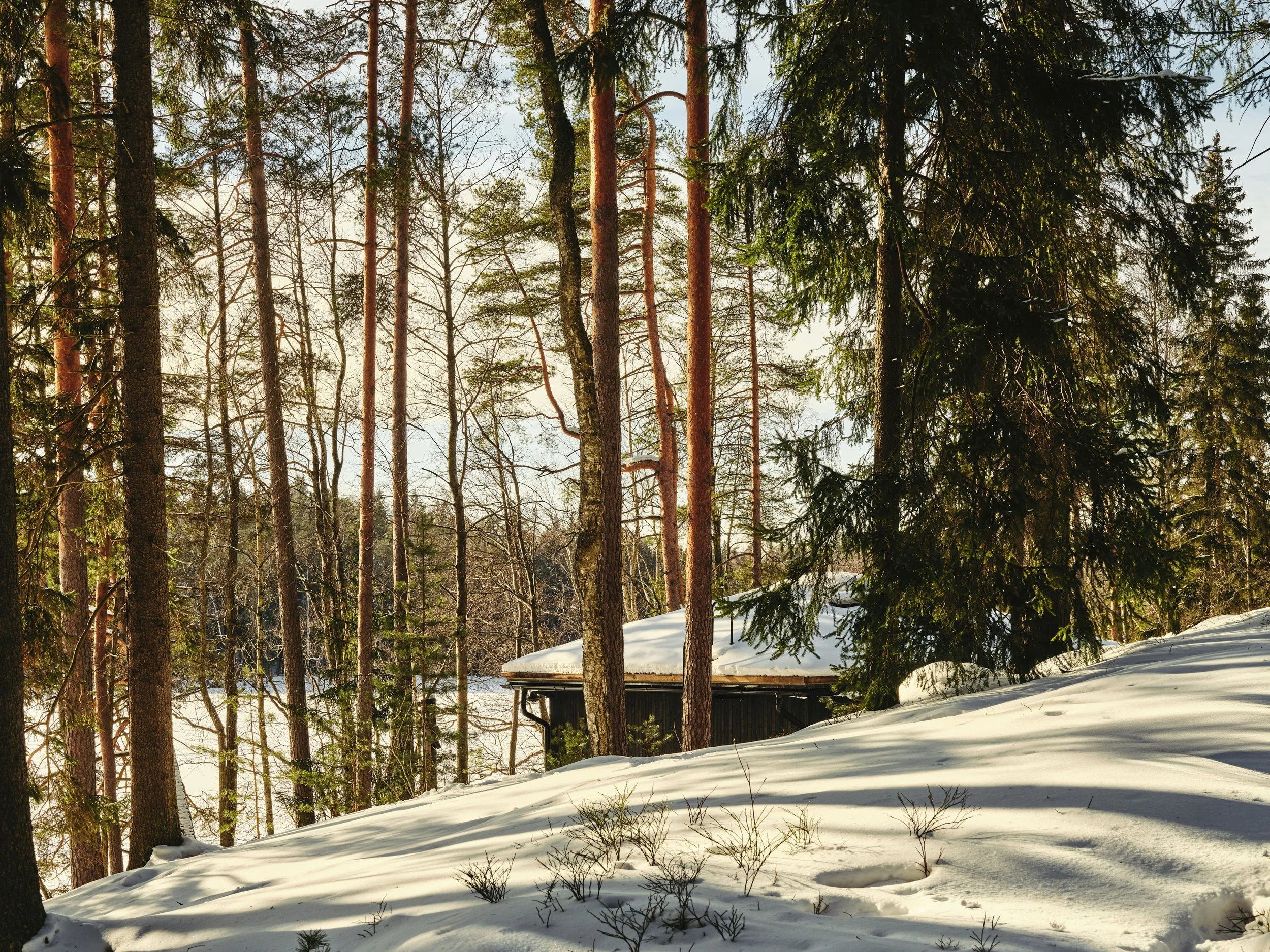 Kuusijärvi 26_ 230.jpg