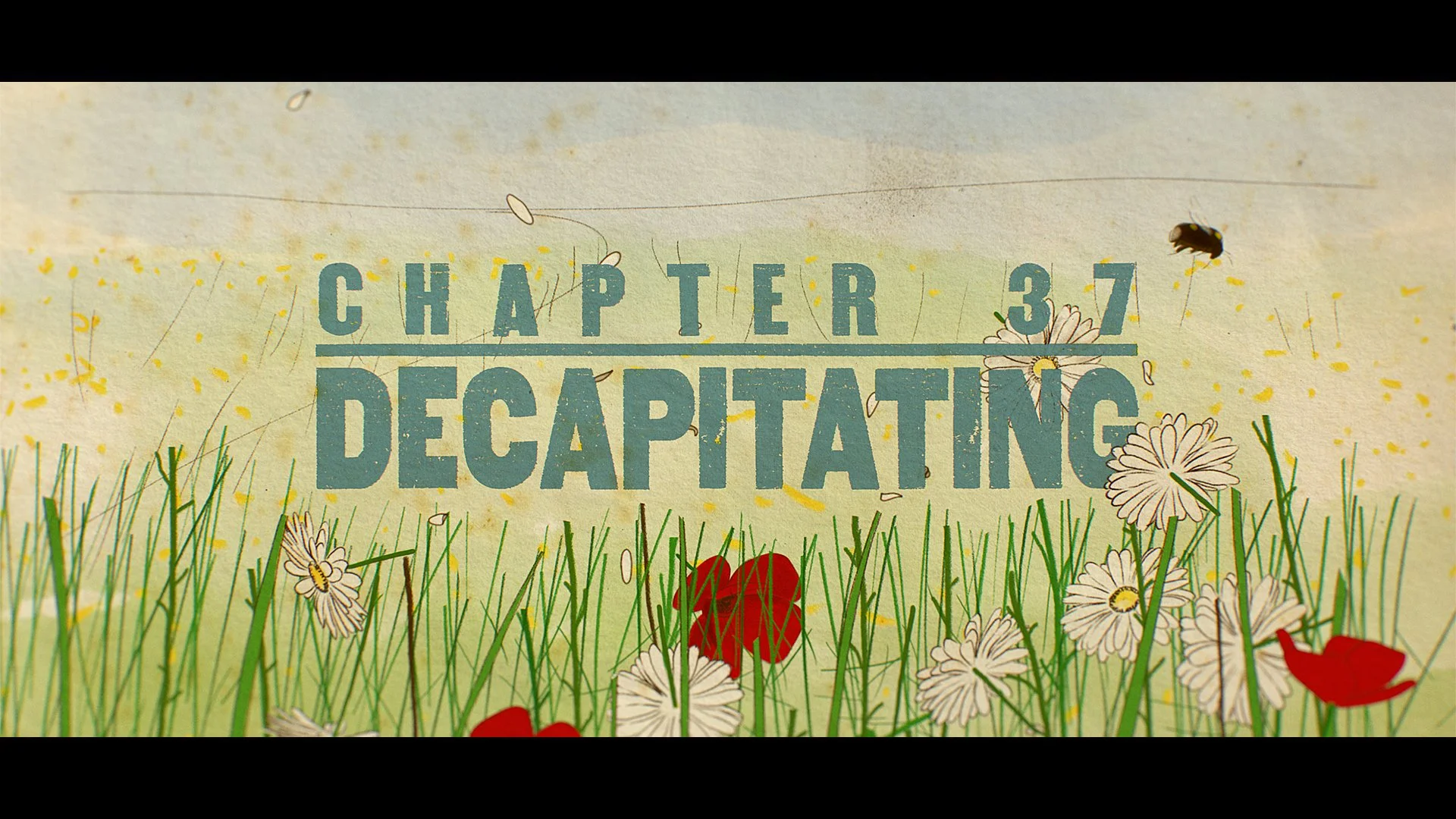 CF5_37_Decapitating.jpg