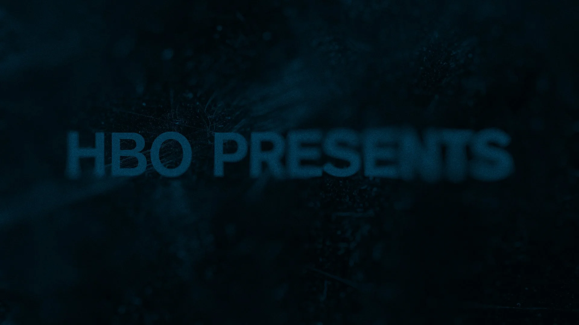 Free Willy Typography PITCH 003 (0-00-00-00).jpg
