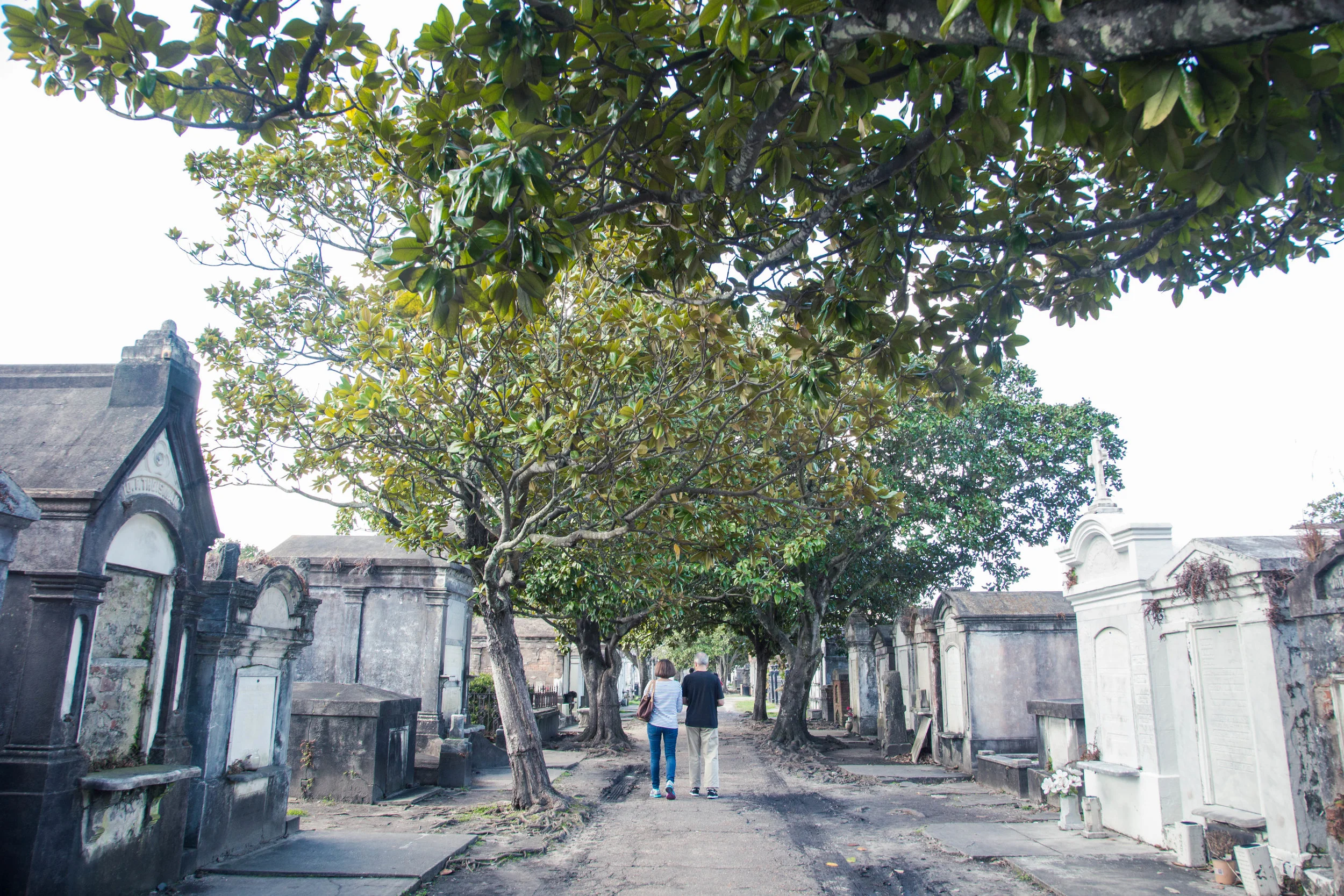 2018-02-11_15 - NOLA-9958.JPG