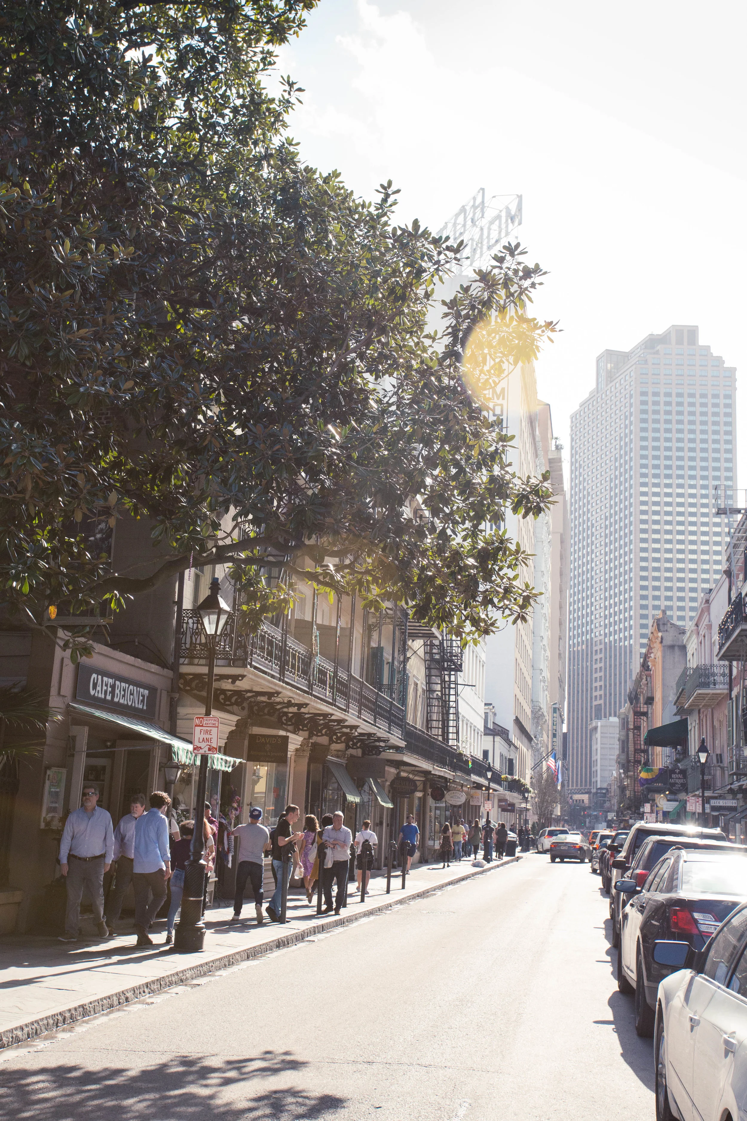 2018-02-11_15 - NOLA-9740.JPG