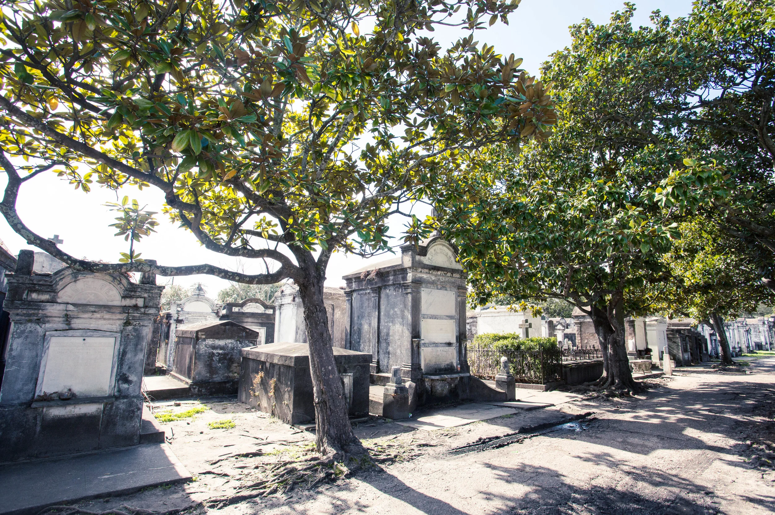 2018-02-11_15 - NOLA-9966.JPG