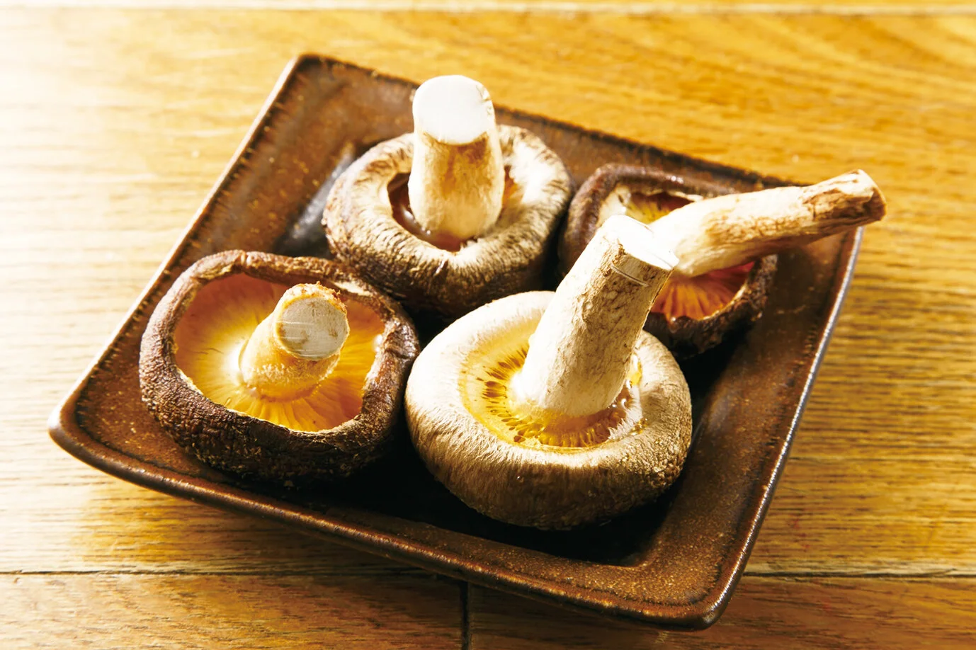 椎茸ダシ醤油焼 Grilled Shiitake with Soy Sauce ($6)
