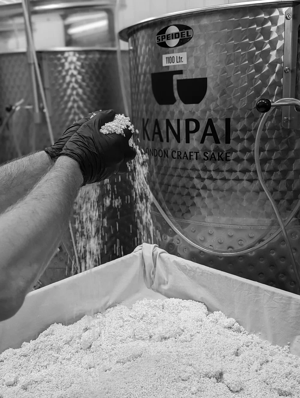 Group Brew Sake Experience